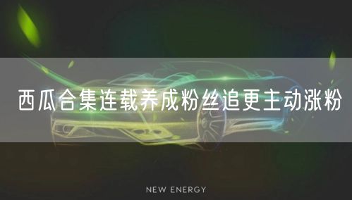 西瓜合集连载养成：激发粉丝追更，实现主动涨粉