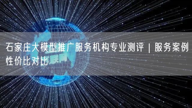 石家庄大模型推广服务机构专业测评|服务案例性价比对比