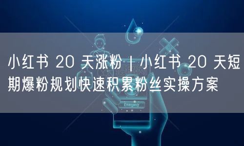 小红书 20 天涨粉｜小红书 20 天短期爆粉规划快速积累粉丝实操方案