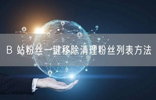 B 站粉丝一键移除清理粉丝列表方法