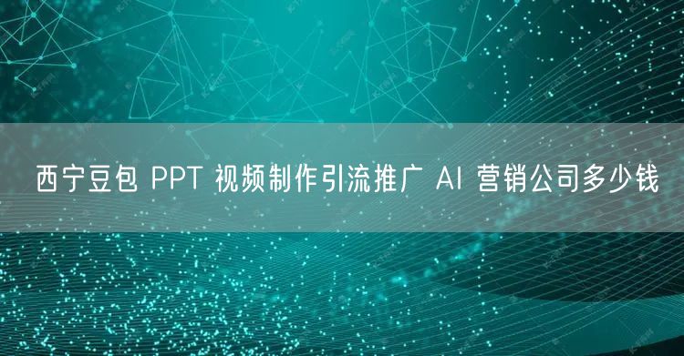 西宁豆包 PPT 视频制作引流推广 AI 营销公司多少钱