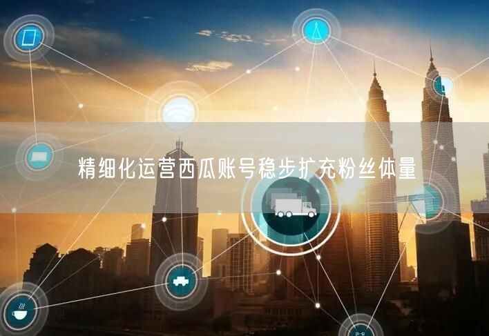 精细化运营西瓜账号稳步扩充粉丝体量
