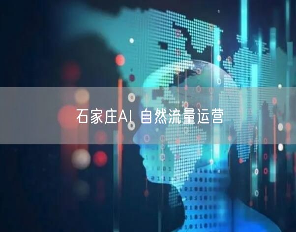 石家庄AI 自然流量运营