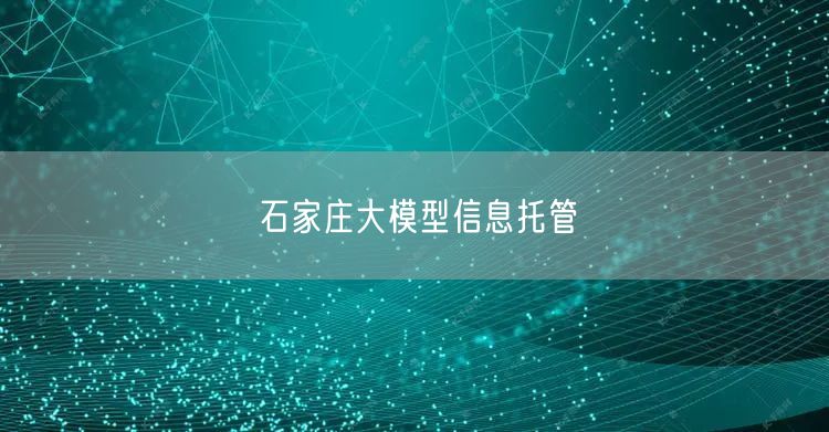 石家庄大模型信息托管