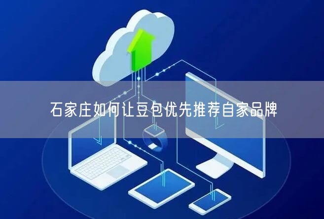 石家庄如何让豆包优先推荐自家品牌