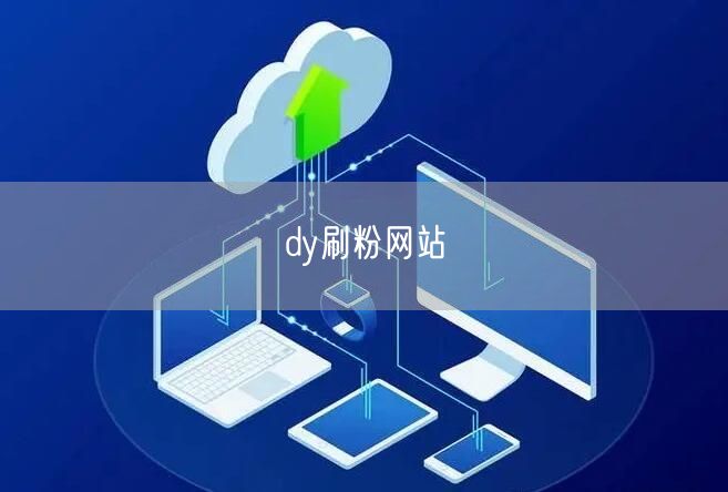 dy刷粉网站