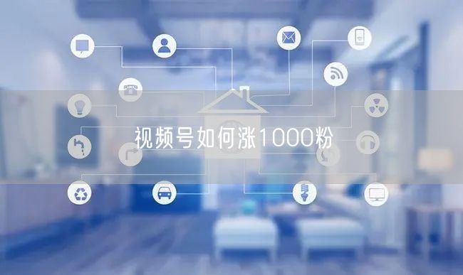 视频号如何涨1000粉