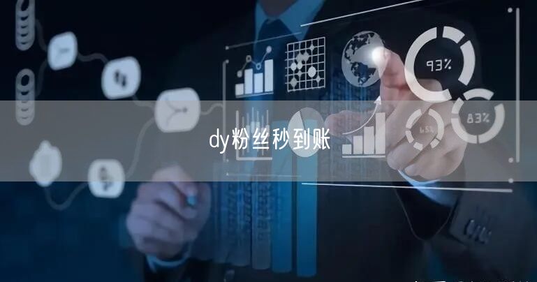 dy粉丝秒到账
