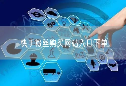 快手粉丝购买网站入口下单