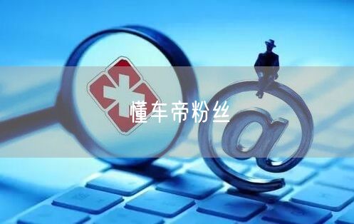 懂车帝粉丝