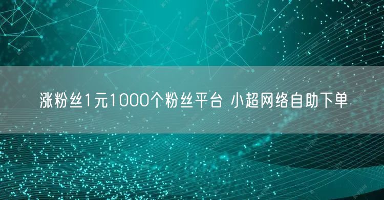 涨粉丝1元1000个粉丝平台 小超网络自助下单