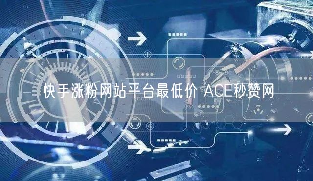 快手涨粉网站平台最低价 ACE秒赞网