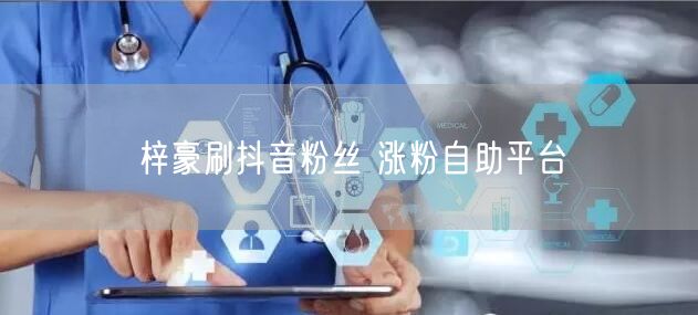 梓豪刷抖音粉丝 涨粉自助平台