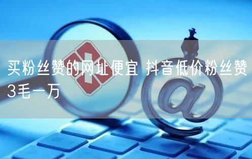 买粉丝赞的网址便宜 抖音低价粉丝赞3毛一万