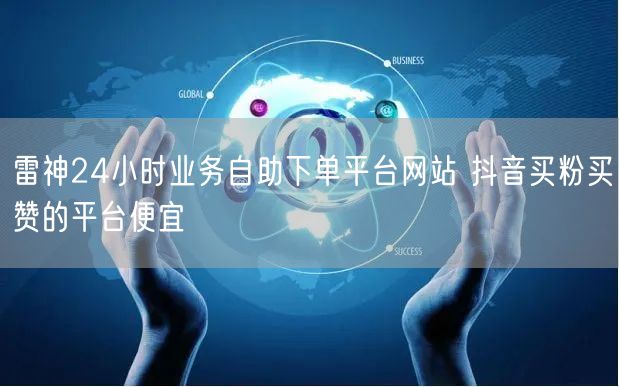 雷神24小时业务自助下单平台网站 抖音买粉买赞的平台便宜