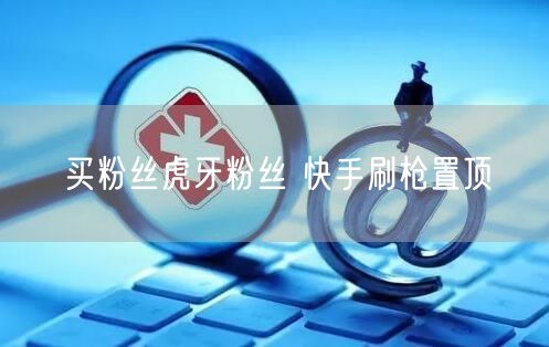 买粉丝虎牙粉丝 快手刷枪置顶