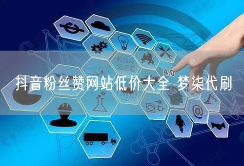 抖音粉丝赞网站低价大全 梦柒代刷
