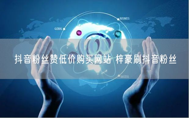 抖音粉丝赞低价购买网站 梓豪刷抖音粉丝