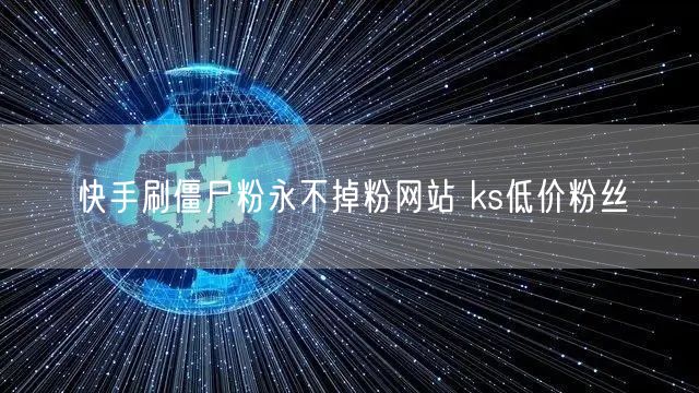 快手刷僵尸粉永不掉粉网站 ks低价粉丝