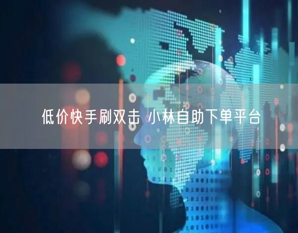 低价快手刷双击 小林自助下单平台