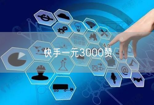 快手一元3000赞