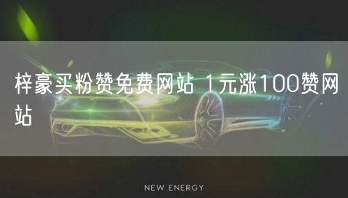 梓豪买粉赞免费网站 1元涨100赞网站