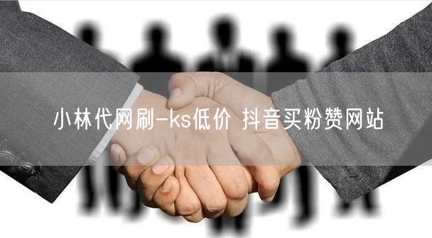 小林代网刷-ks低价 抖音买粉赞网站