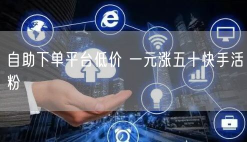 自助下单平台低价 一元涨五十快手活粉