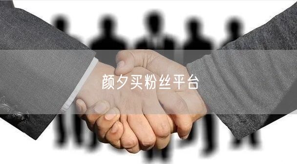 颜夕买粉丝平台